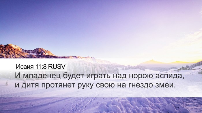 Исаия 11:8 RUSV Bible Verse Image