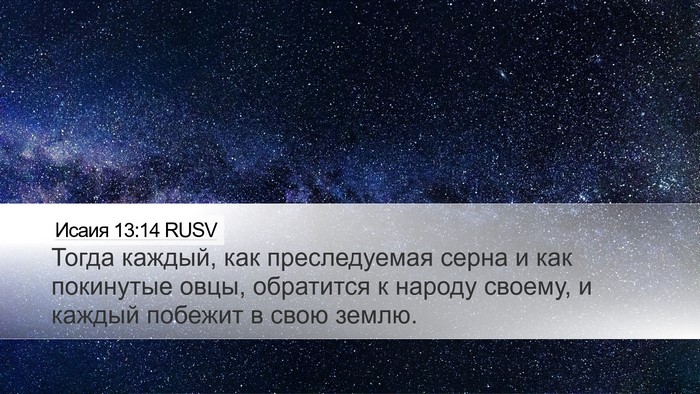 Исаия 13:14 RUSV Bible Verse Image