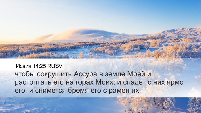 Исаия 14:25 RUSV Bible Verse Image