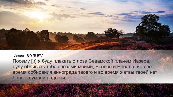 Исаия 16:9 RUSV Bible Verse Image