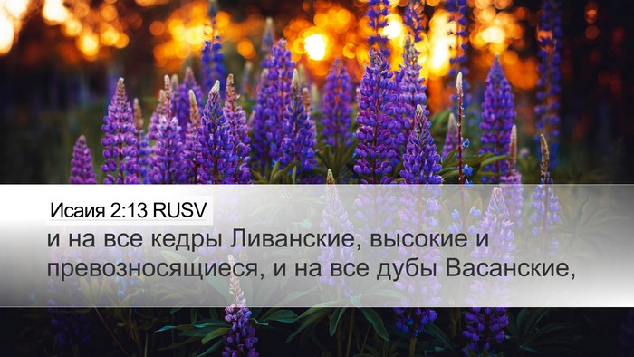 Исаия 2:13 RUSV Bible Verse Image