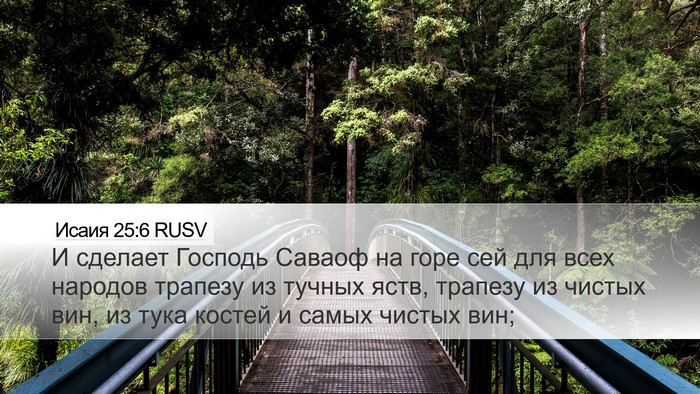 Исаия 25:6 RUSV Bible Verse Image