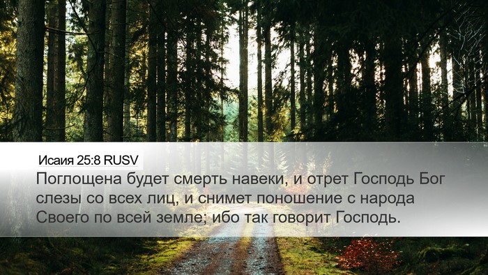 Исаия 25:8 RUSV Bible Verse Image