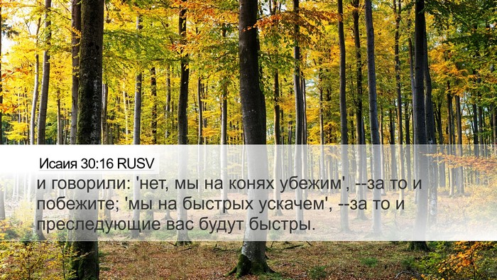 Исаия 30:16 RUSV Bible Verse Image
