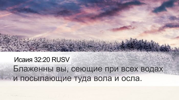 Исаия 32:20 RUSV Bible Verse Image