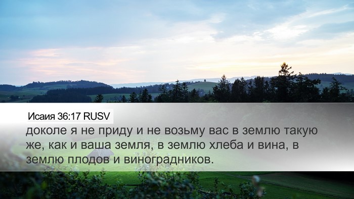Исаия 36:17 RUSV Desktop Wallpaper - доколе я не приду и не - Desktop Bible Verse Wallpaper