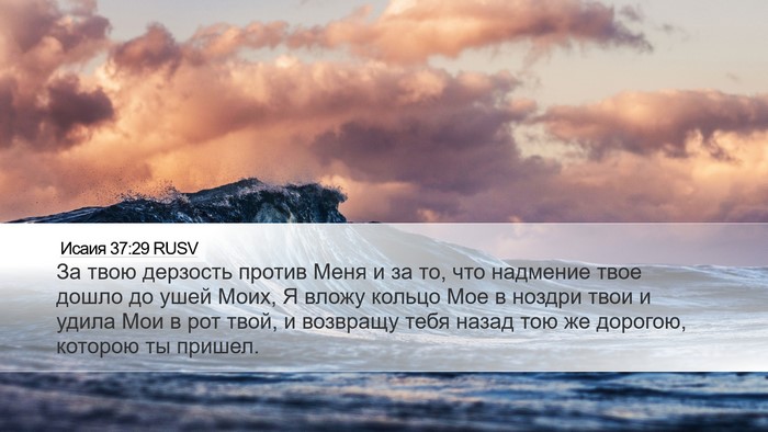 Исаия 37:29 RUSV Bible Verse Image