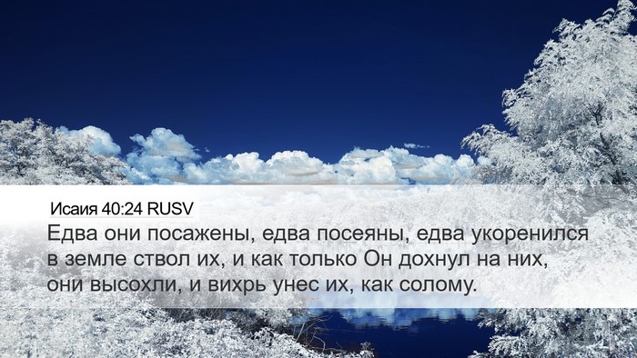 Исаия 40:24 RUSV Bible Verse Image