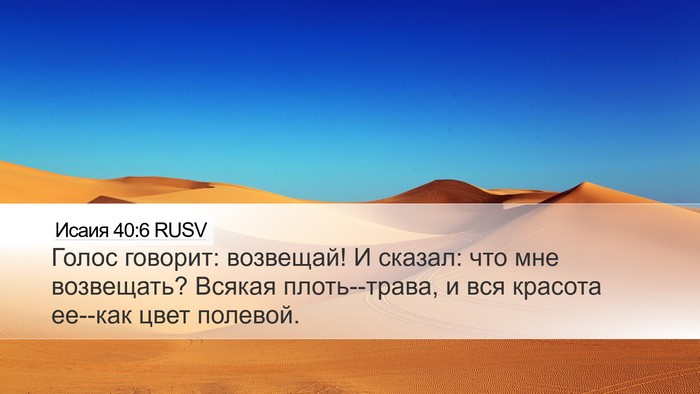 Исаия 40:6 RUSV Bible Verse Image