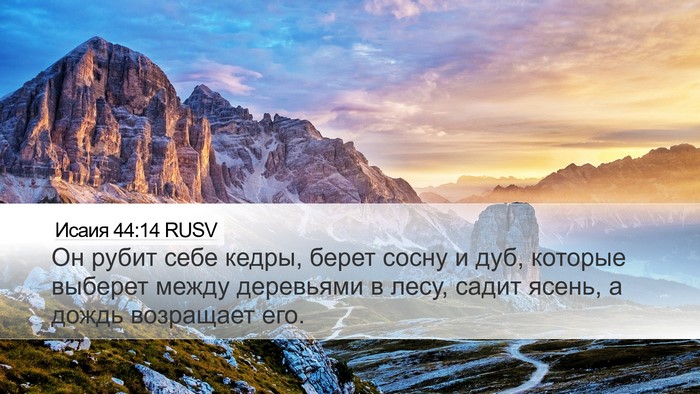 Исаия 44:14 RUSV Bible Verse Image