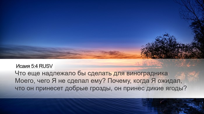 Исаия 5:4 RUSV Bible Verse Image
