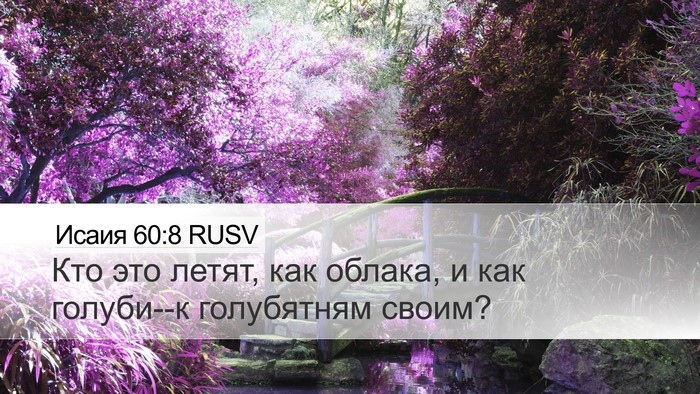 Исаия 60:8 RUSV Bible Verse Image