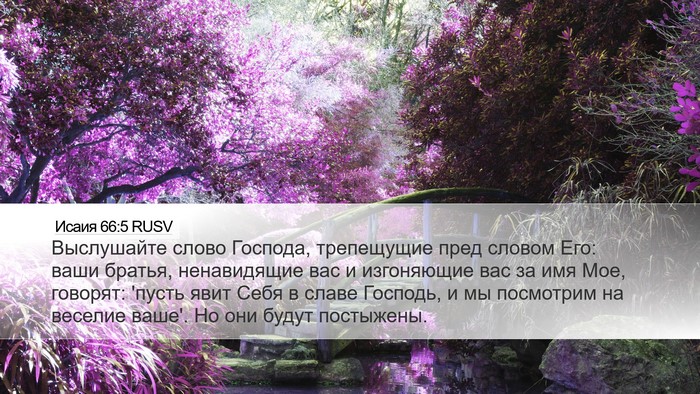 Исаия 66:5 RUSV Bible Verse Image