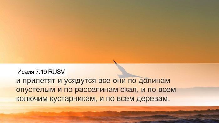 Исаия 7:19 RUSV Desktop Wallpaper - и прилетят и усядутся все - Desktop Bible Verse Wallpaper