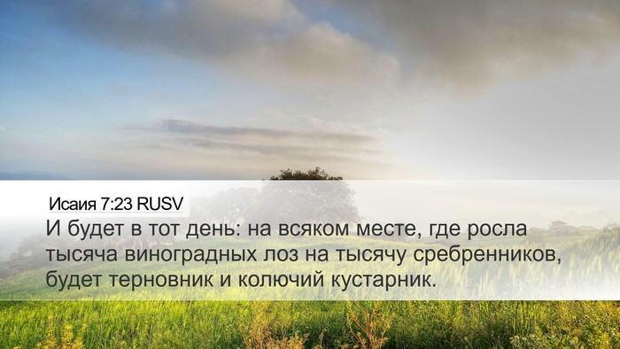 Исаия 7:23 RUSV Bible Verse Image