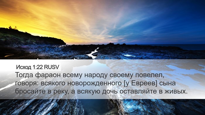 Исход 1:22 RUSV Bible Verse Image