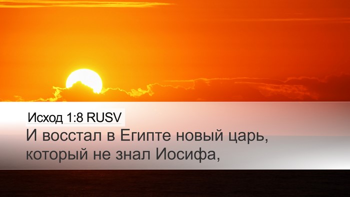 Исход 1:8 RUSV Bible Verse Image