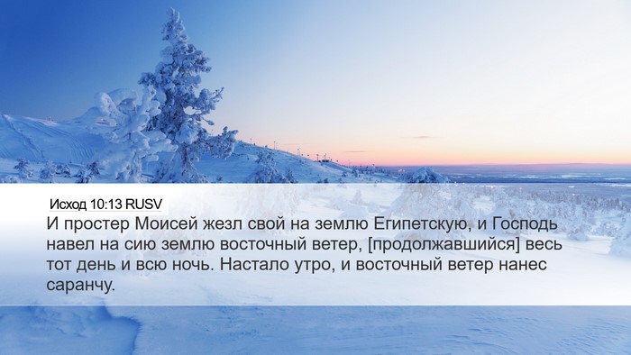 Исход 10:13 RUSV Bible Verse Image