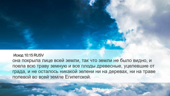 Исход 10:15 RUSV Bible Verse Image