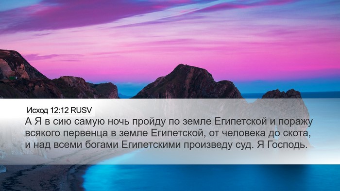 Исход 12:12 RUSV Bible Verse Image
