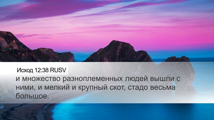 Исход 12:38 RUSV Bible Verse Image