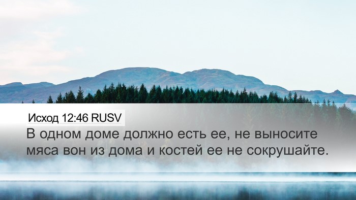 Исход 12:46 RUSV Bible Verse Image