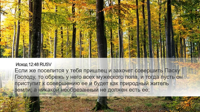 Исход 12:48 RUSV Bible Verse Image