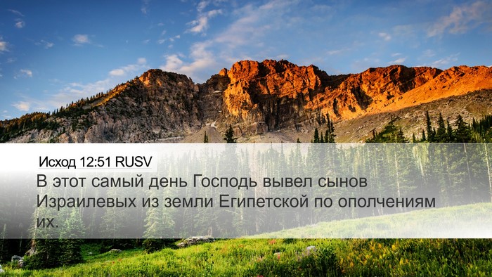 Исход 12:51 RUSV Bible Verse Image