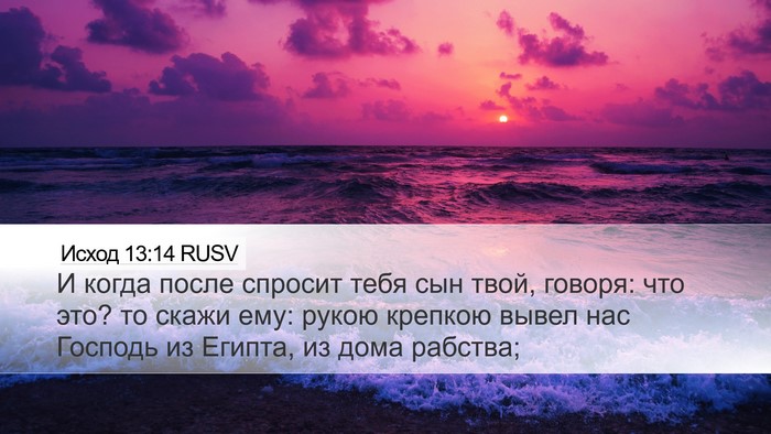 Исход 13:14 RUSV Bible Verse Image