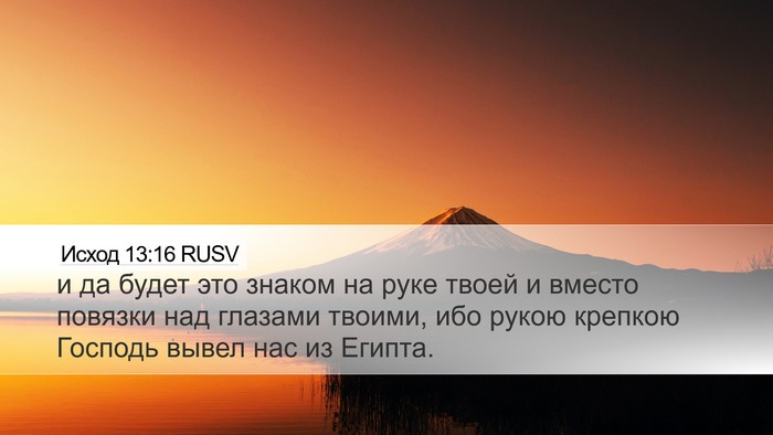 Исход 13:16 RUSV Bible Verse Image
