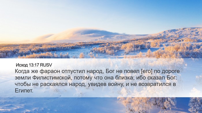 Исход 13:17 RUSV Bible Verse Image