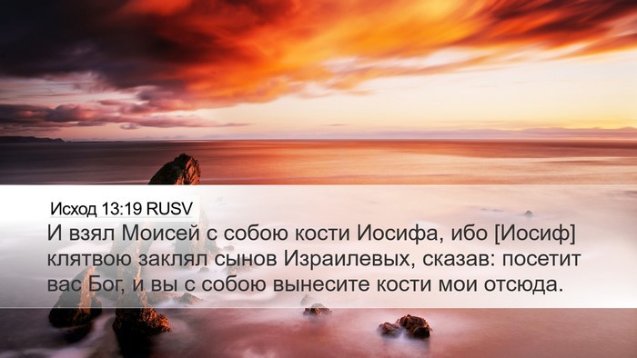 Исход 13:19 RUSV Bible Verse Image