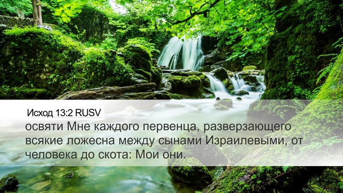 Исход 13:2 RUSV Bible Verse Image