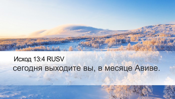 Исход 13:4 RUSV Bible Verse Image