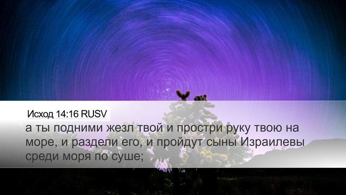 Исход 14:16 RUSV Bible Verse Image