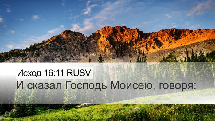 Исход 16:11 RUSV Desktop Wallpaper - И сказал Господь Моисею, - Desktop Bible Verse Wallpaper