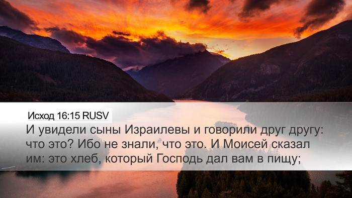 Исход 16:15 RUSV Bible Verse Image