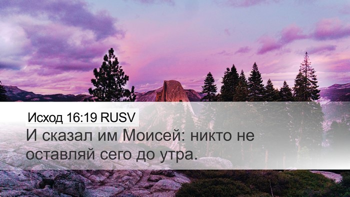 Исход 16:19 RUSV Desktop Wallpaper - И сказал им Моисей: никто - Desktop Bible Verse Wallpaper