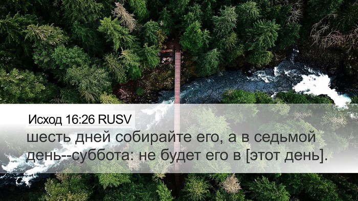 Исход 16:26 RUSV Desktop Wallpaper - шесть дней собирайте его, а - Desktop Bible Verse Wallpaper