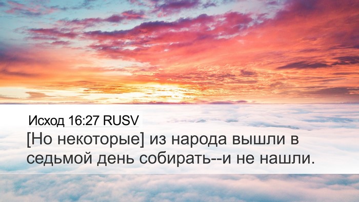 Исход 16:27 RUSV Desktop Wallpaper - [Но некоторые] из народа - Desktop Bible Verse Wallpaper
