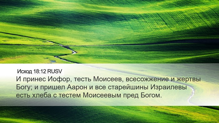 Исход 18:12 RUSV Bible Verse Image