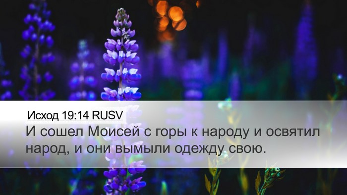 Исход 19:14 RUSV Bible Verse Image