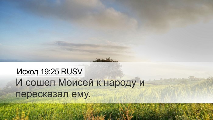 Исход 19:25 RUSV Desktop Wallpaper - И сошел Моисей к народу и - Desktop Bible Verse Wallpaper