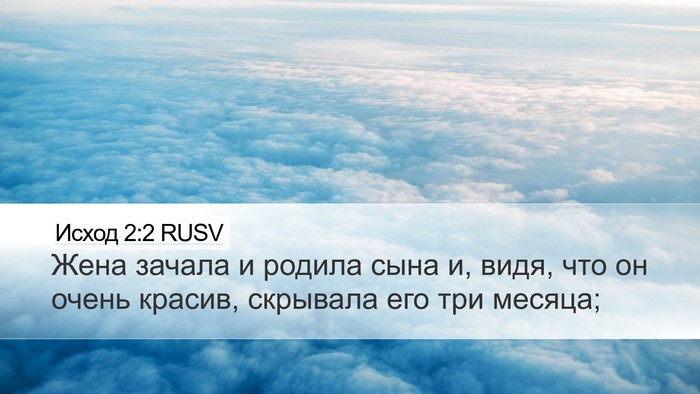Исход 2:2 RUSV Desktop Wallpaper - Жена зачала и родила сына - Desktop Bible Verse Wallpaper