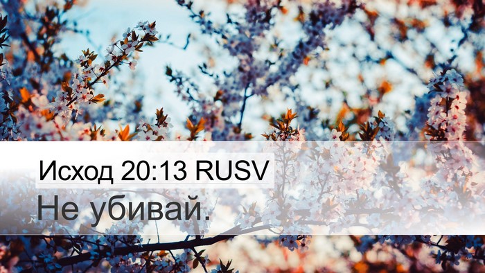 Исход 20:13 RUSV Bible Verse Image