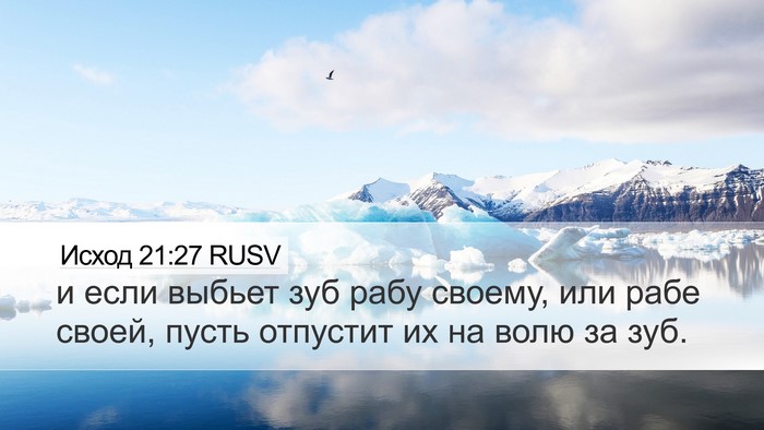 Исход 21:27 RUSV Desktop Wallpaper - и если выбьет зуб рабу - Desktop Bible Verse Wallpaper