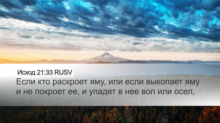 Исход 21:33 RUSV Bible Verse Image