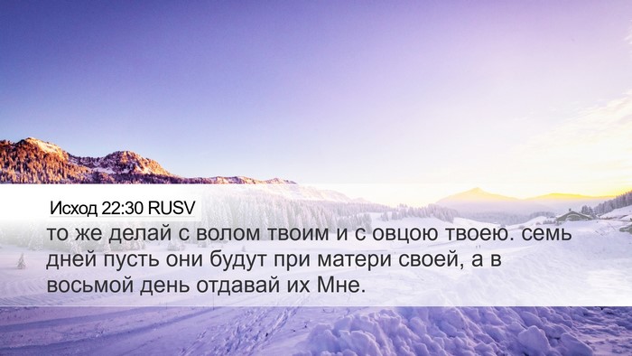 Исход 22:30 RUSV Bible Verse Image