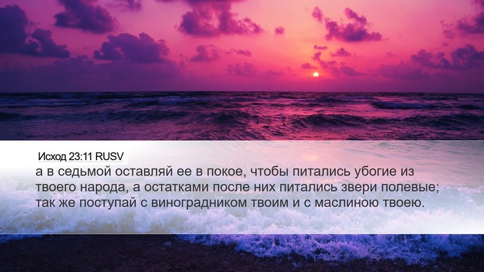 Исход 23:11 RUSV Bible Verse Image