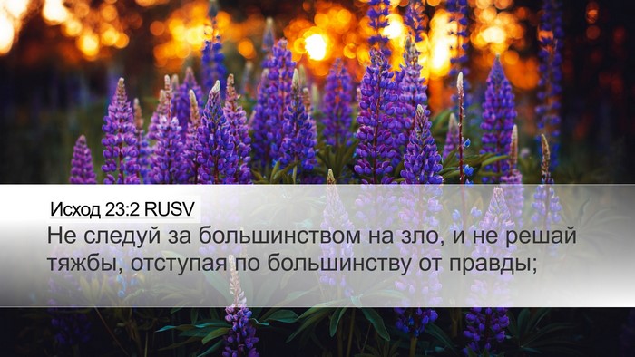 Исход 23:2 RUSV Bible Verse Image